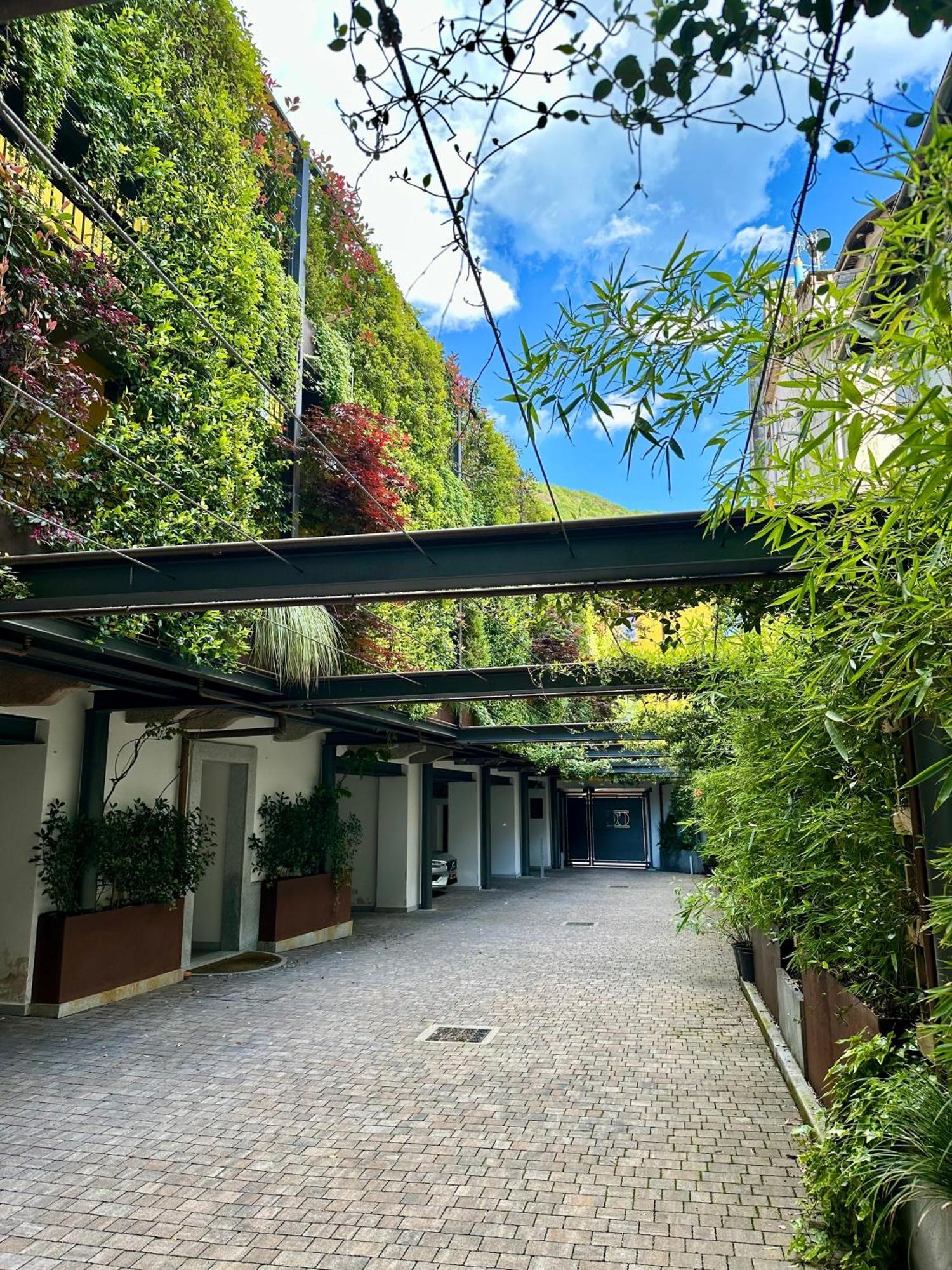 Residence Casa Coppa Appartamento Flox Omegna Exteriör bild